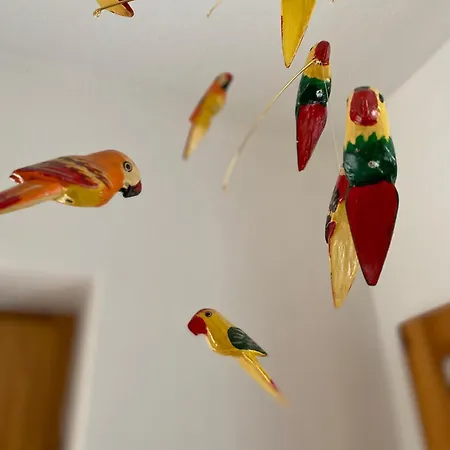 Ferienhaus Am Vogelpark - Boddenhaus 60 Marlow